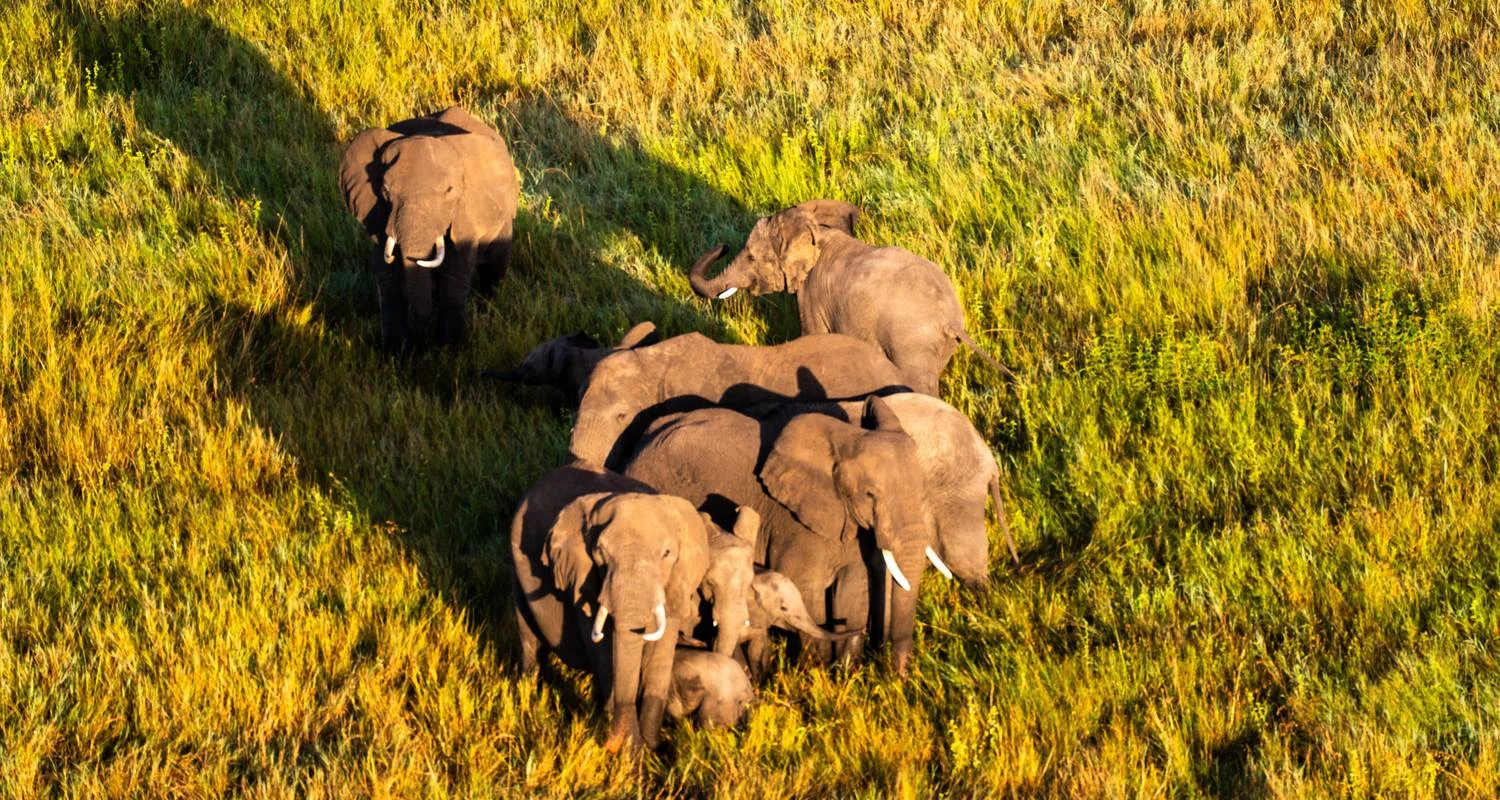 From Arusha 6 days Tanzania's Classic Safari Adventure: Icons of the Wild, Tarangire, Lake Manyara, Serengeti N.P - 6 days with Beach and Safari Holidays - Photo 2 Explore From Arusha 6 days Tanzania's Classic Safari Adventure: Icons of the Wild, Tarangire, Lake Manyara, Serengeti N.P for 6 days with Beach and Safari Holidays and discover unforgettable experiences - Photo 2