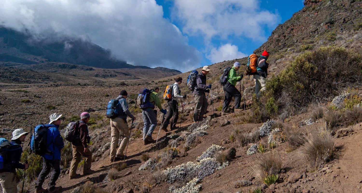 Group Joining Mount Kilimanjaro Climbing through Marangu Route 8 Days Tanzania (all accommodation and transport are included) - 8 days with Click Expeditions - Photo 2 Explore Group Joining Mount Kilimanjaro Climbing through Marangu Route 8 Days Tanzania (all accommodation and transport are included) for 8 days with Click Expeditions and discover unforgettable experiences - Photo 2
