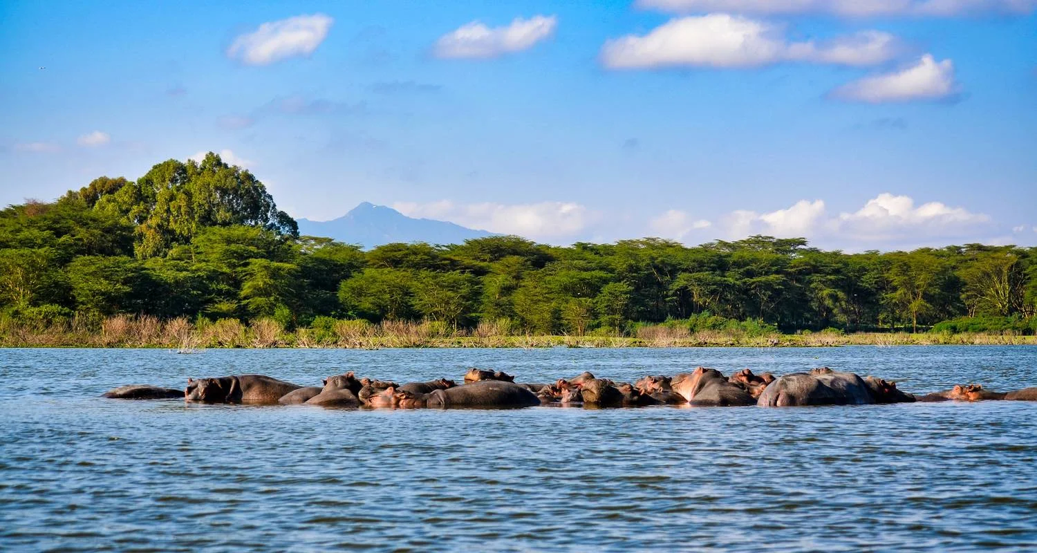 The Plains of Africa Kenya Wildlife Safari (Nairobi to Amboseli) - 14 days with Collette - Photo 2 Explore The Plains of Africa Kenya Wildlife Safari (Nairobi to Amboseli) for 14 days with Collette and discover unforgettable experiences - Photo 2