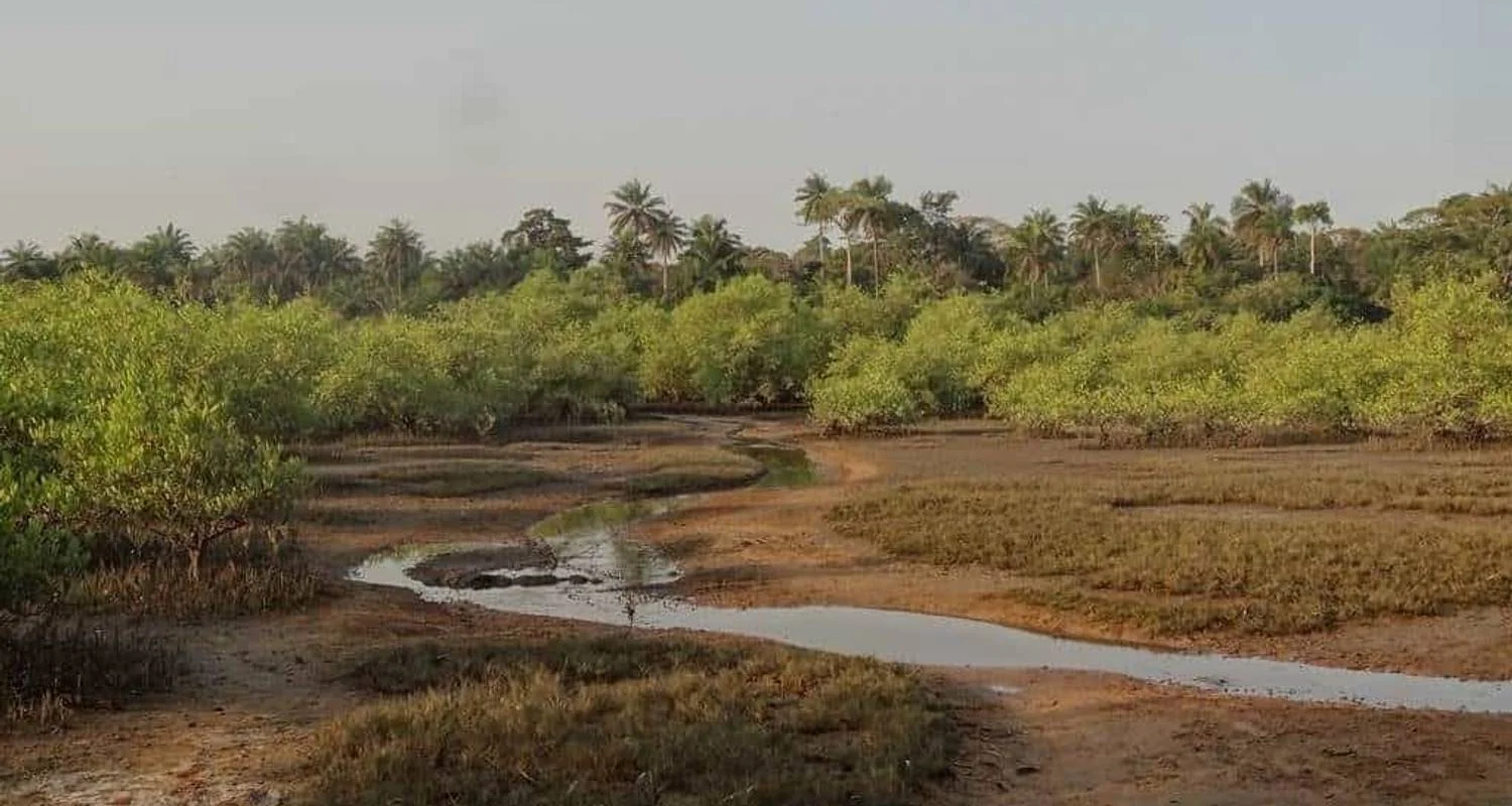 Guinea Bissau – Islands and Wildlife - 10 days with Continent Tours - Photo 2 Explore Guinea Bissau – Islands and Wildlife for 10 days with Continent Tours and discover unforgettable experiences - Photo 2
