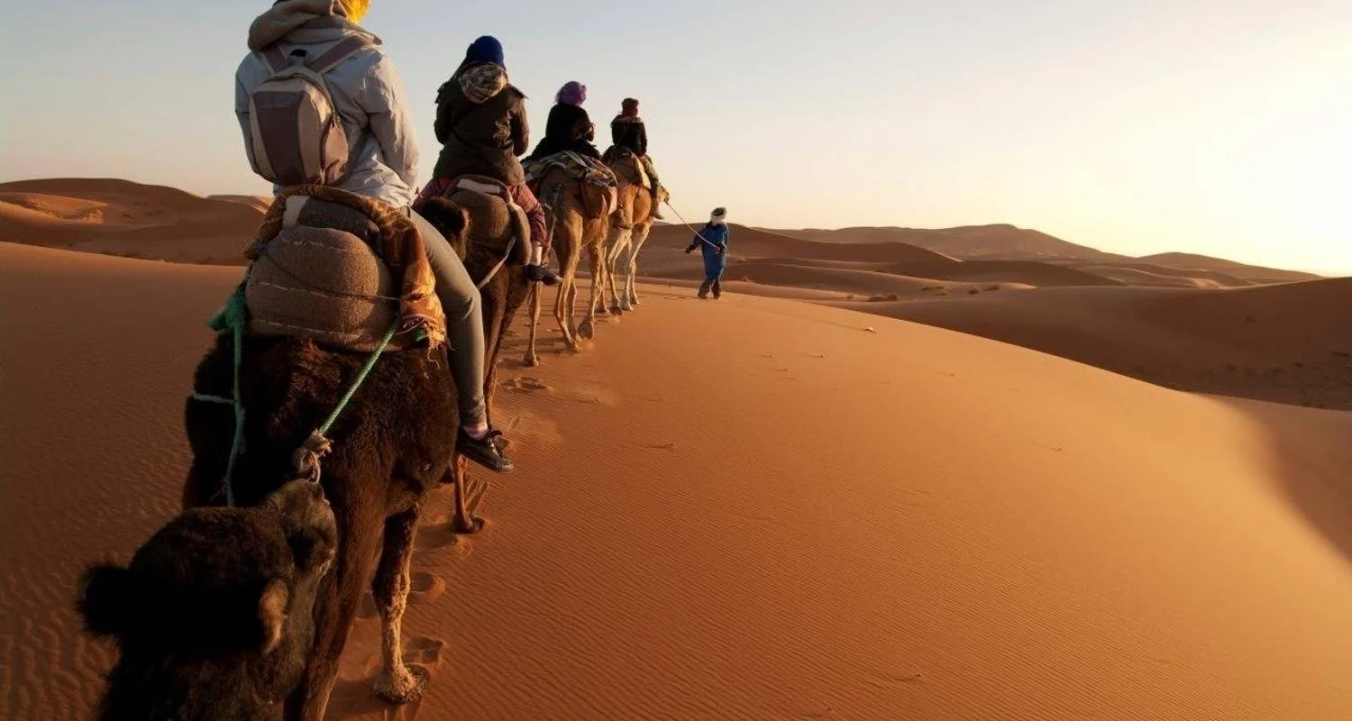 Oasis of the South, Self-drive - 8 days with Destination Services Morocco - Photo 2 Explore Oasis of the South, Self-drive for 8 days with Destination Services Morocco and discover unforgettable experiences - Photo 2
