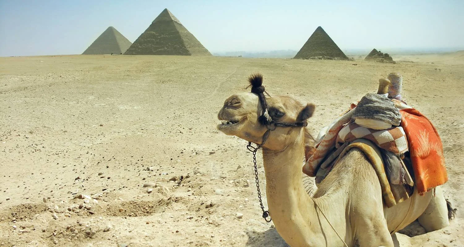 Luxury Private Egypt Tour - 7 days with Flo Tours - Photo 2 Explore Luxury Private Egypt Tour for 7 days with Flo Tours and discover unforgettable experiences - Photo 2