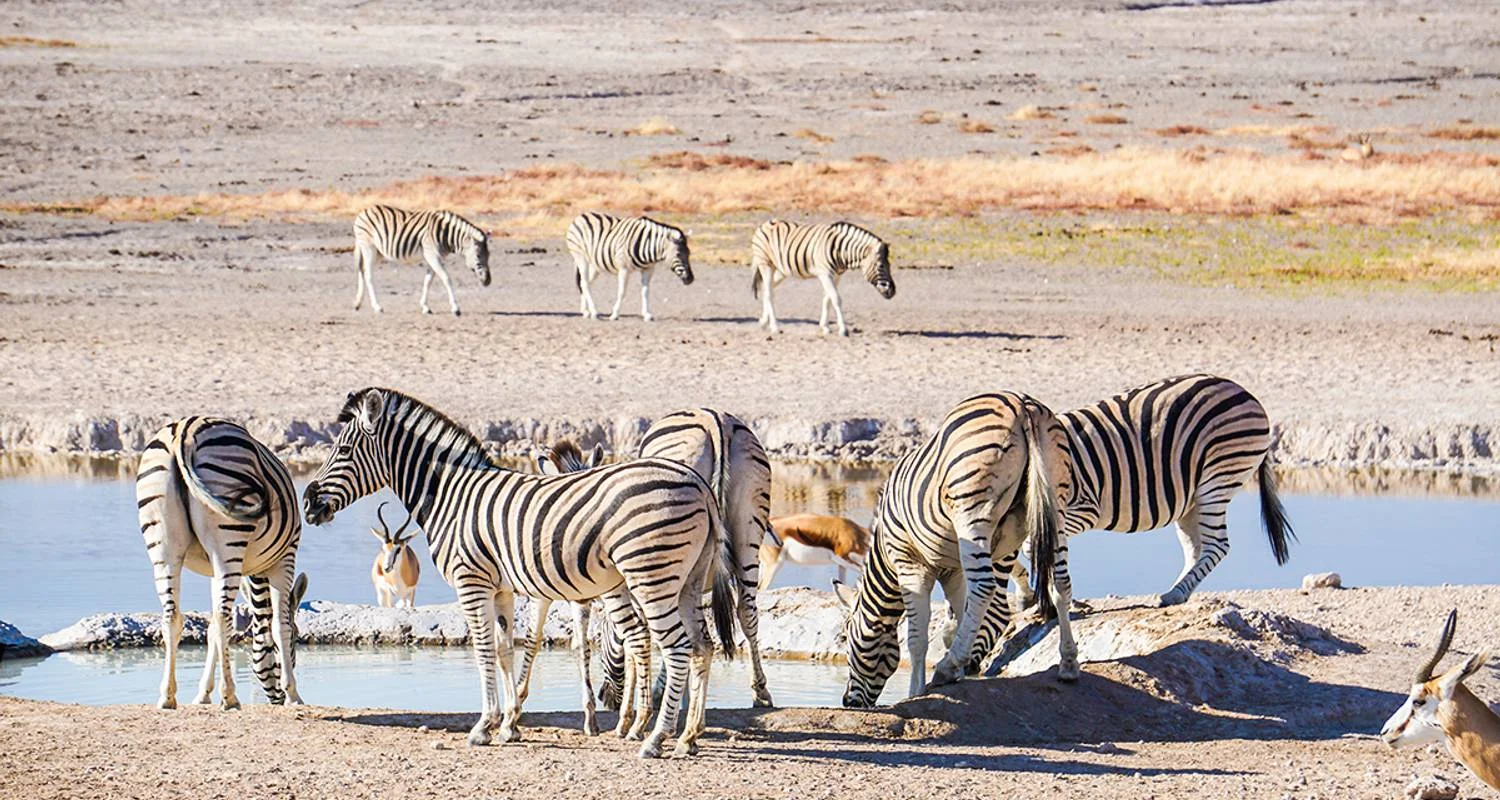 Namibia - Wilderness and Vastness with Flair - 13 days with Gebeco - Photo 2 Explore Namibia - Wilderness and Vastness with Flair for 13 days with Gebeco and discover unforgettable experiences - Photo 2