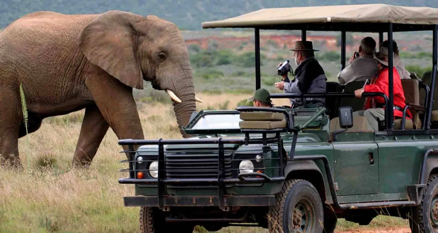 3-Day Trip To Akagera National Park - 3 days with Golden Rwanda Safaris Ltd - Photo 2 Explore 3-Day Trip To Akagera National Park for 3 days with Golden Rwanda Safaris Ltd and discover unforgettable experiences - Photo 2