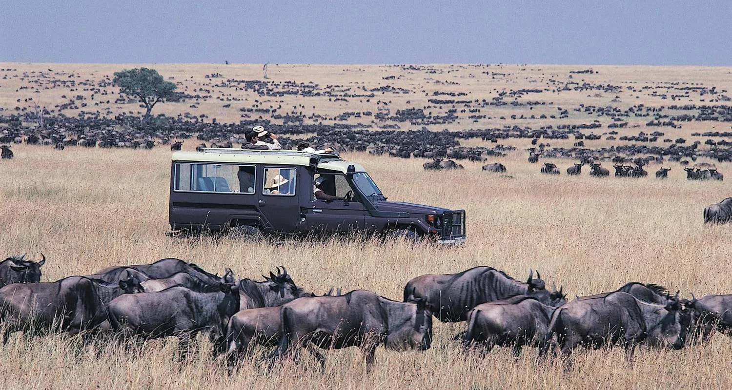 4 Days Masai Mara and Lake Nakuru Budget Safari on 4x4 Land Cruiser Jeep - 4 days with Gracepatt Ecotours Kenya - Photo 2 Explore 4 Days Masai Mara and Lake Nakuru Budget Safari on 4x4 Land Cruiser Jeep for 4 days with Gracepatt Ecotours Kenya and discover unforgettable experiences - Photo 2