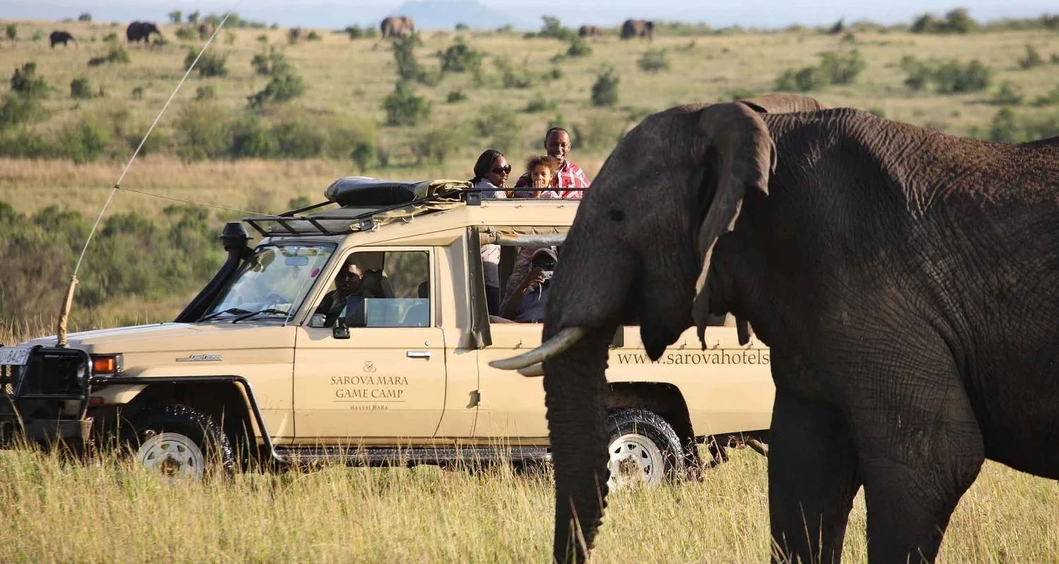 9Days Aberdare, Lake Nakuru, Masai Mara, lake Naivasha & Amboseli safari - 9 days with Gracepatt Ecotours Kenya - Photo 2 Explore 9Days Aberdare, Lake Nakuru, Masai Mara, lake Naivasha & Amboseli safari for 9 days with Gracepatt Ecotours Kenya and discover unforgettable experiences - Photo 2