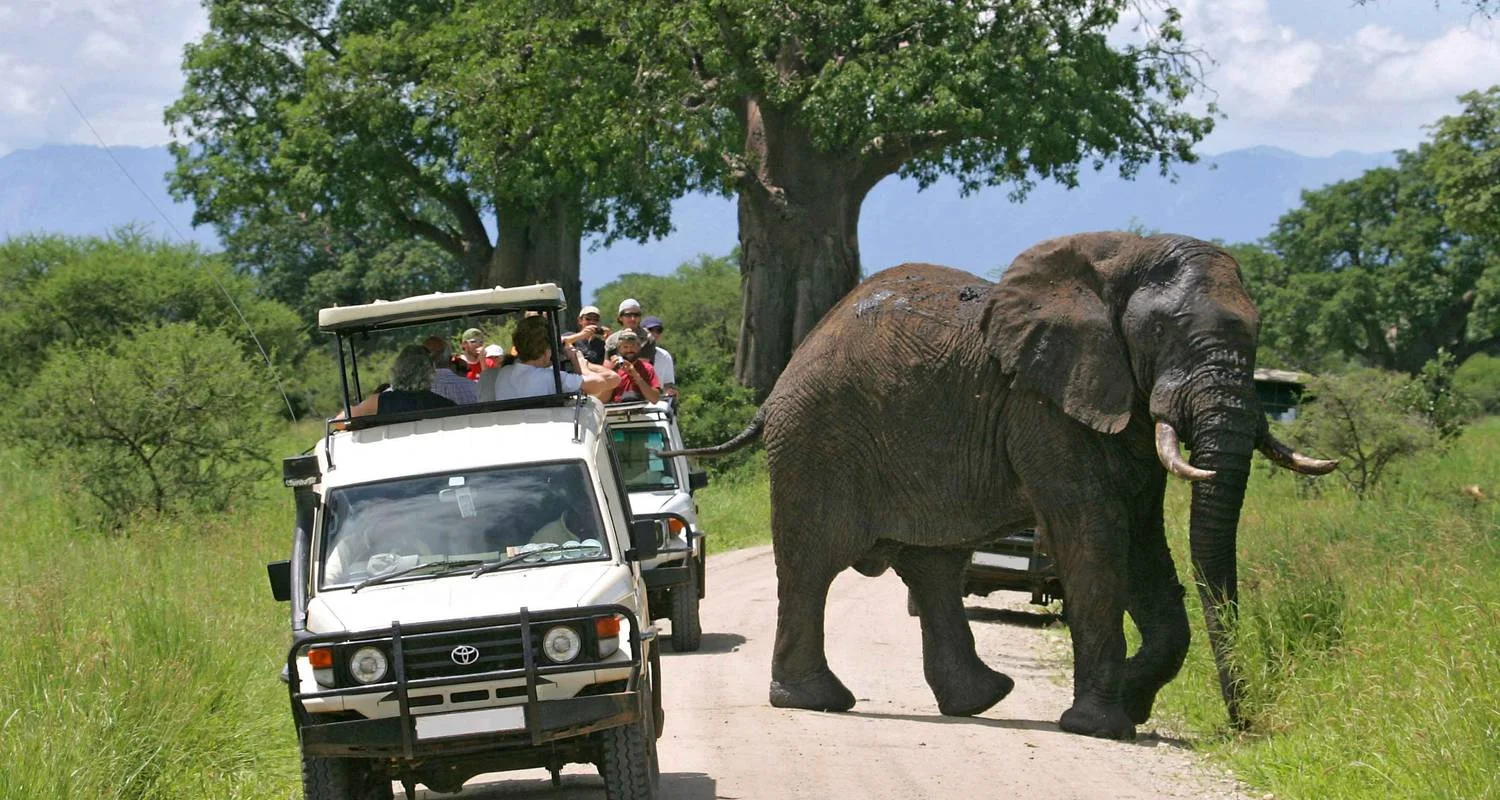 7 Days Elephant (Tembo) Luxury Tanzania Safari - 7 days with Gracepatt Ecotours Kenya - Photo 2 Explore 7 Days Elephant (Tembo) Luxury Tanzania Safari for 7 days with Gracepatt Ecotours Kenya and discover unforgettable experiences - Photo 2