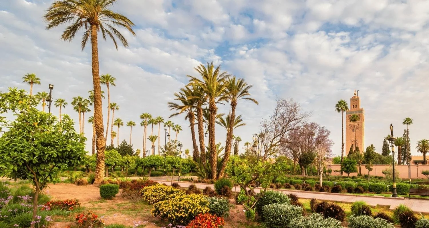 11 Days Private Tour from Casablanca - 11 days with Guided Morocco Tours - Photo 2 Explore 11 Days Private Tour from Casablanca for 11 days with Guided Morocco Tours and discover unforgettable experiences - Photo 2