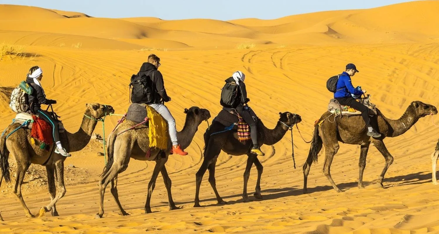 Totally Morocco - 11 Days Private Tour from Marrakech - 11 days with Guided Morocco Tours - Photo 2 Explore Totally Morocco - 11 Days Private Tour from Marrakech for 11 days with Guided Morocco Tours and discover unforgettable experiences - Photo 2