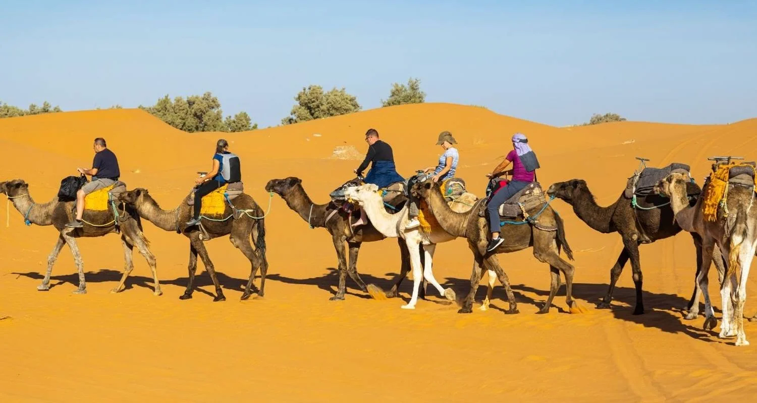 11 Days Tour from Tangier to Casablanca - 11 days with Guided Morocco Tours - Photo 2 Explore 11 Days Tour from Tangier to Casablanca for 11 days with Guided Morocco Tours and discover unforgettable experiences - Photo 2