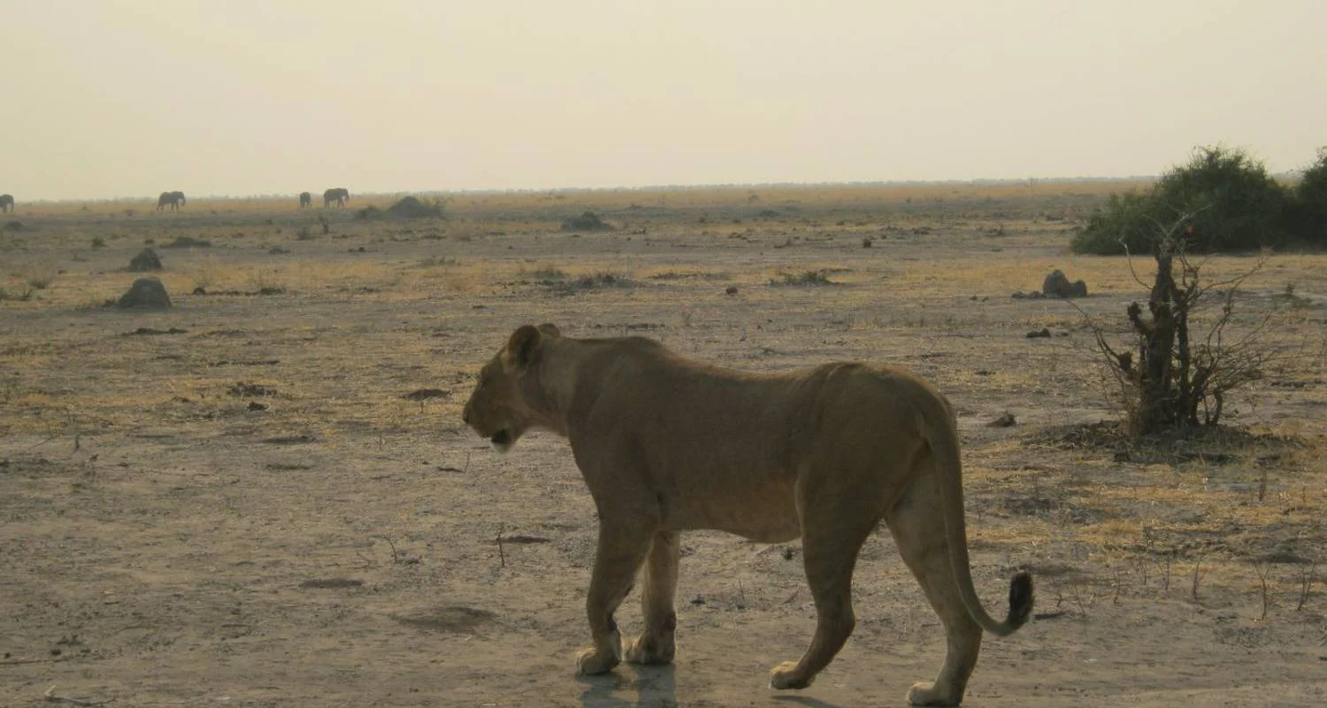 Cape Namibia Route - 12 days with HoneyBadger Travel & Tours - Photo 2 Explore Cape Namibia Route for 12 days with HoneyBadger Travel & Tours and discover unforgettable experiences - Photo 2