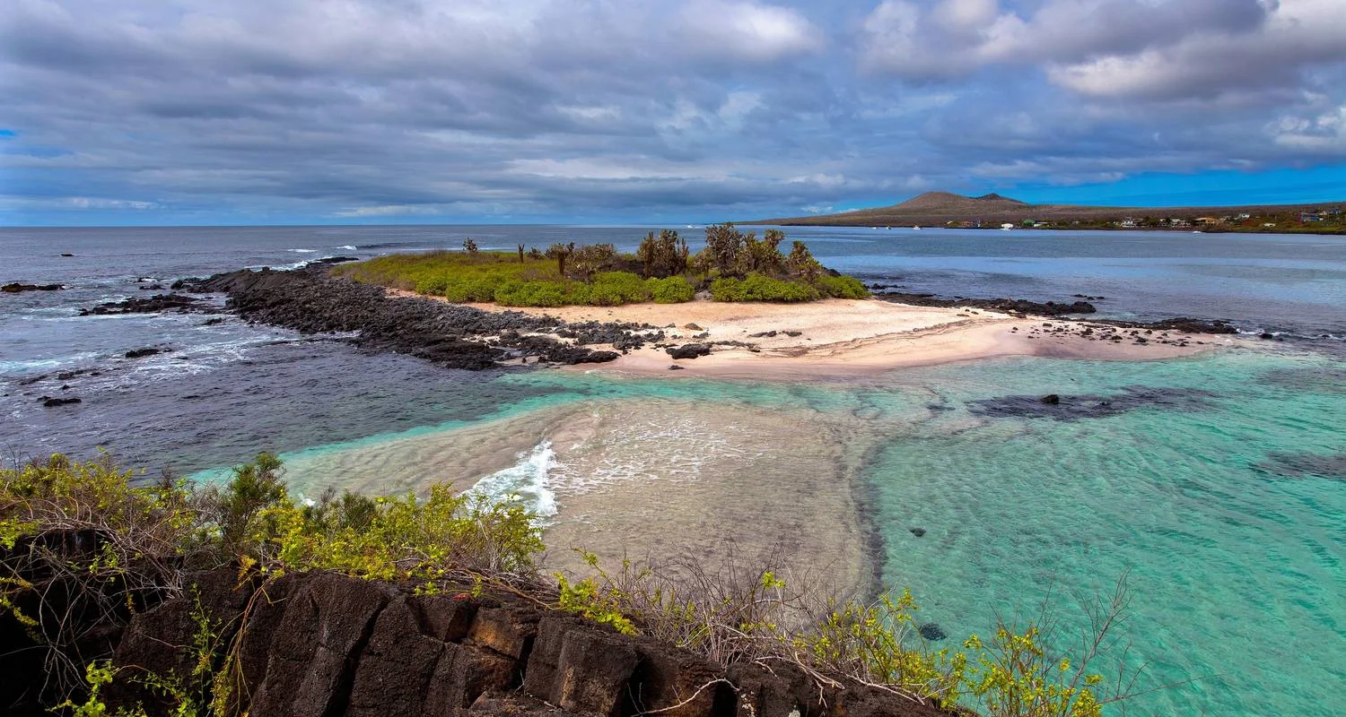 Iconic Wildlife & Sublime Scenery (Western Route) (2025) - 7 days with Hurtigruten - Photo 2 Explore Iconic Wildlife & Sublime Scenery (Western Route) (2025) for 7 days with Hurtigruten and discover unforgettable experiences - Photo 2